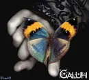 Glowing butterfly - Galuh