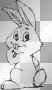 cute bunny