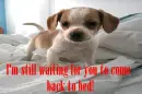 Come back to bed