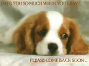 I miss you