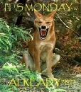 It's Monday already??