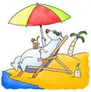 Polar Bear on Beach