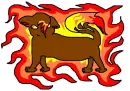 Fire cat
