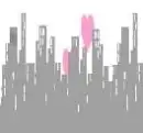 The City