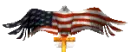 patriotic eagle