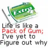 Gum
