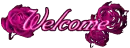 Pink Rose Welcome