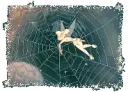 Tinkerbell on web