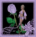 Lady