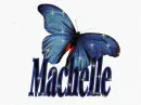 Machelle