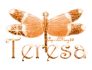 orange dragonfly teresa