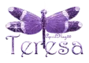 purple dragonfly teresa