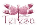 pink dragonfly teresa