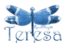 blue dragonfly teresa