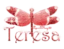 red dragonfly teresa