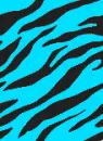 ZEBRA1