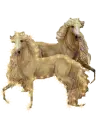 Palomino horses