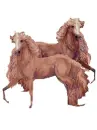horse of a different color