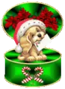Christmas Pup