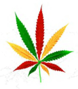mata rasta