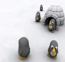 Penguins