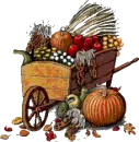 FALL