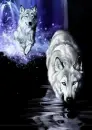 Wolves