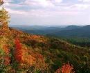 Fall