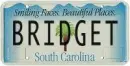 Bridget SC Plate