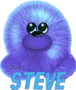 Fuzzy Steve