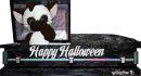 happy halloween