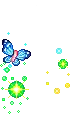 flying butterflies