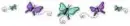 green and purple butterflies