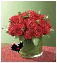 red roses