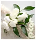 white love