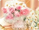 pink roses