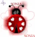 Sonia-Lady bug