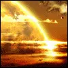 Sunshine