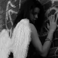White Wings and endless darkness