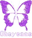 Cheyenne Butterfly