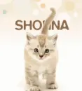 for shonna