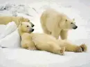 lazy