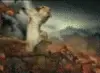 farting squirrel
