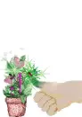 Judi's green thumb