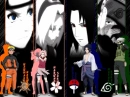 Team 7 Shippuden