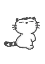 surprise kitty