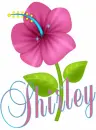Shirley