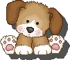 puppy shadow