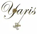 yaris teddy