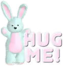 hug me bunny